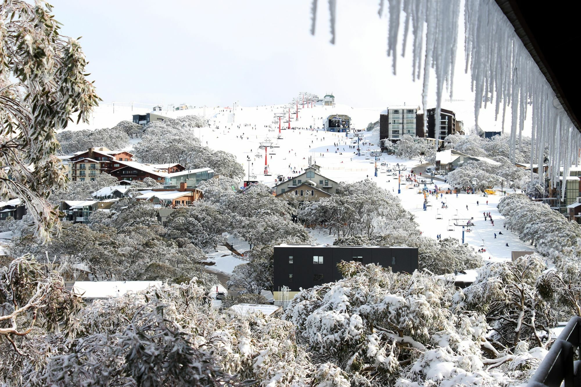 Hotel Alpine Retreat Mt Buller Mount Buller Exteriér fotografie